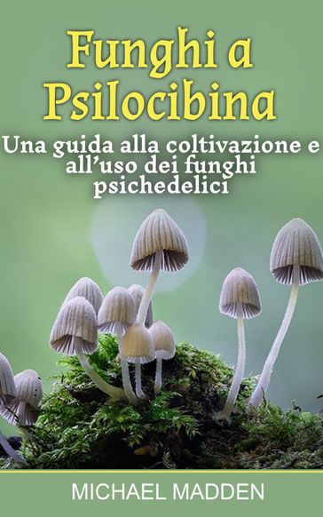 Funghi a Psilocibina