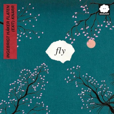 Fly (live)