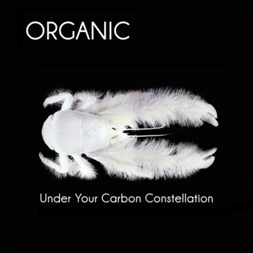 Under your carbon constellation