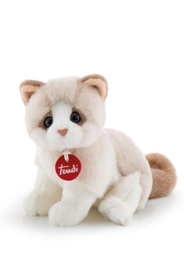 Gattino Brad bianco/beige