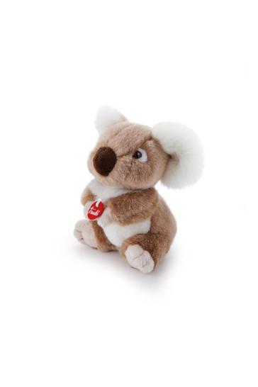 Trudino Koala