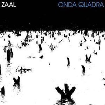 Onda quadra