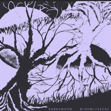 Bloom//decay