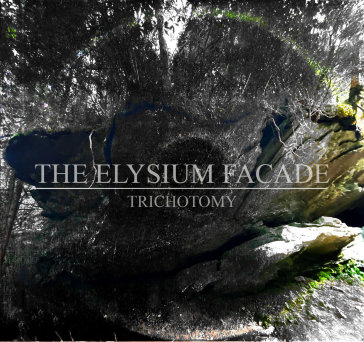 Trichotomy