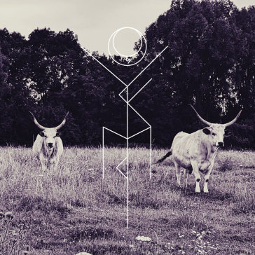 Capture - clear edition