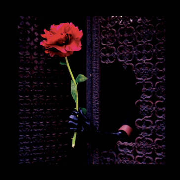 (a) void love - smoked edition