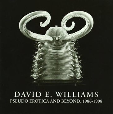 Pseudo erotica and beyond, 1986-1998