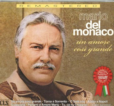 Un amore cosi' grande