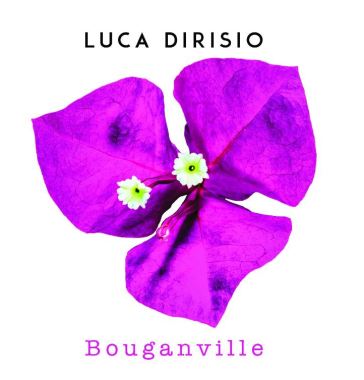 Bouganville