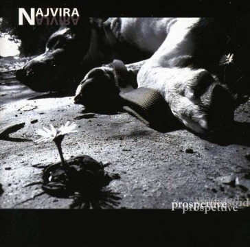 Prospettive