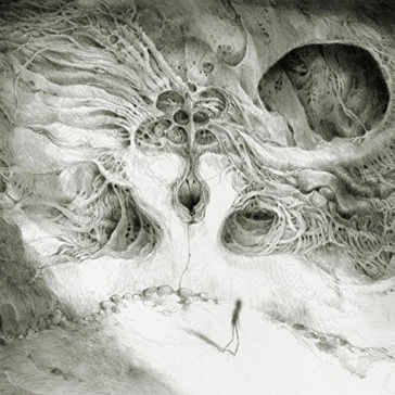 Into the void of human vacuity