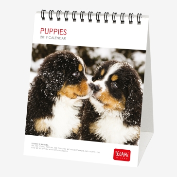 Calendario da tavolo 2019 - 12X14,5 Cm Puppies