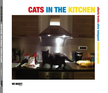 Cats in the kitchen