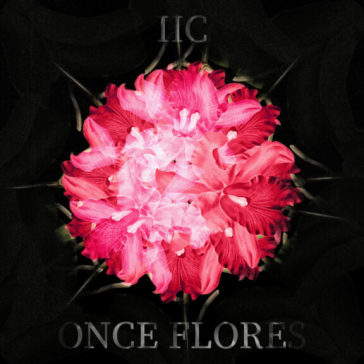 Once flores
