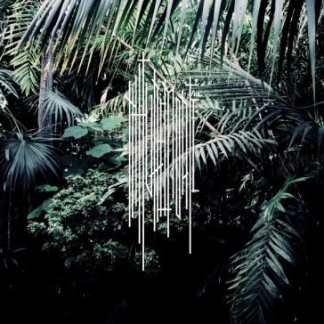 Nm1