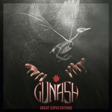 Great expectations