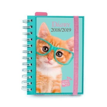 Diario Scolastica Giornaliero 2018/2019 Dp Wire-O Int Studio Pets Cat
