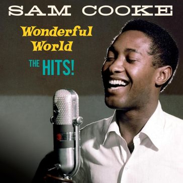 Wonderful world the hits (180 gr)