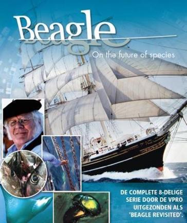 Beagle: on the future..