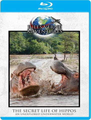 Secret life of hippos