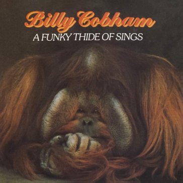 A funky thide of sings
