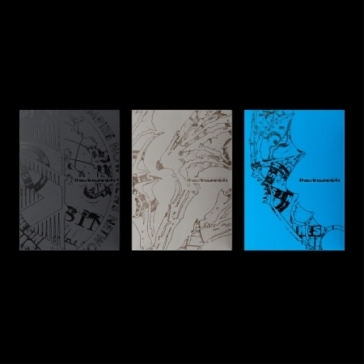 The sin : vanish (forbidden / afterlight