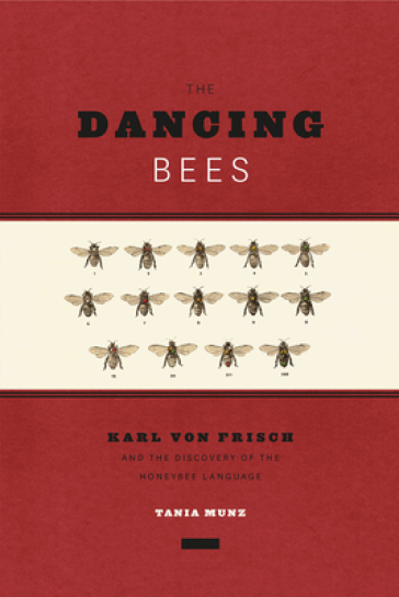 The Dancing Bees