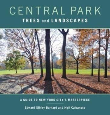Central Park Trees and Landscapes