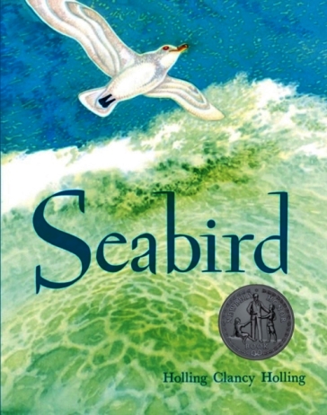 Seabird