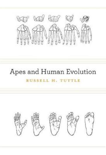 Apes and Human Evolution
