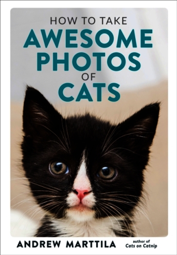 How to Take Awesome Photos of Cats