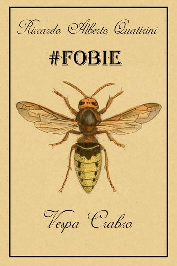 FOBIE - Vespa crabro