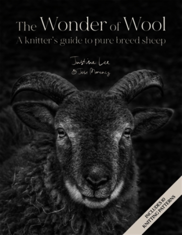 The Wonder of Wool