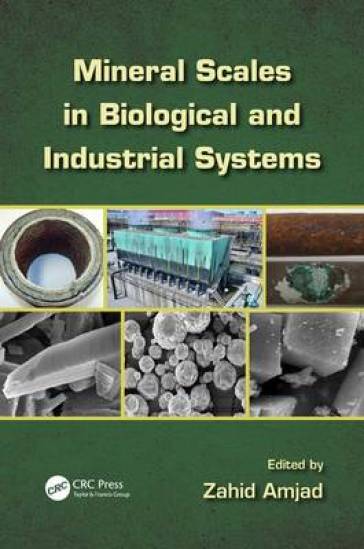 Mineral Scales in Biological and Industrial Systems