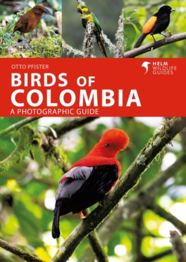 Birds Of Colombia
