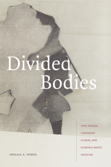 Divided Bodies