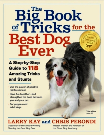 The Big Book of Tricks for the Best Dog Ever