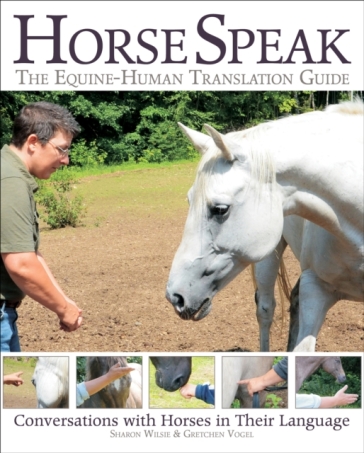 Horse Speak: An Equine-Human Translation Guide