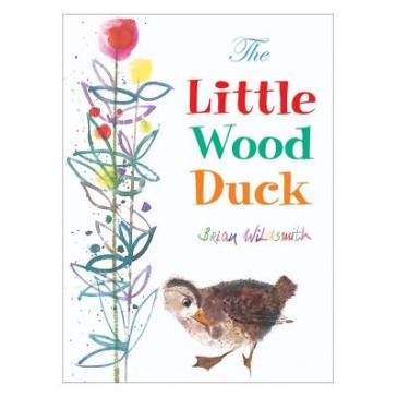 The Little Wood Duck