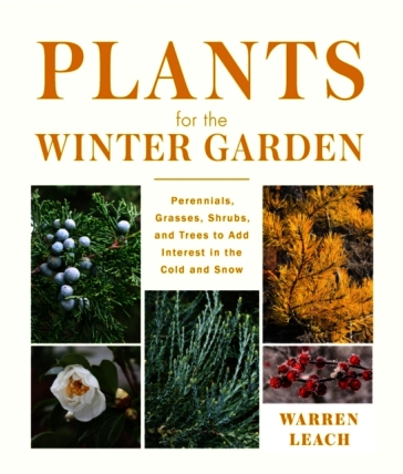 Plants for the Winter Garden