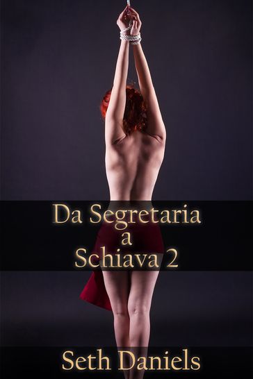 Da Segretaria a Schiava 2