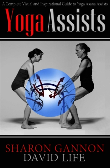 Yoga Assists