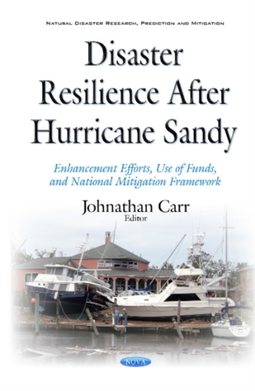 Disaster Resilience after Hurricane Sandy