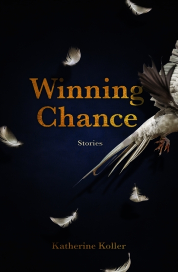 Winning Chance