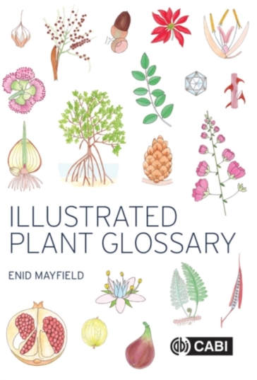 Illustrated Plant Glossary
