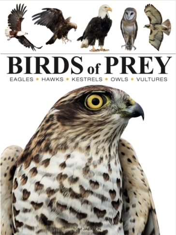 Birds Of Prey