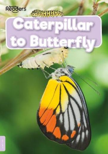Caterpillar To Butterfly