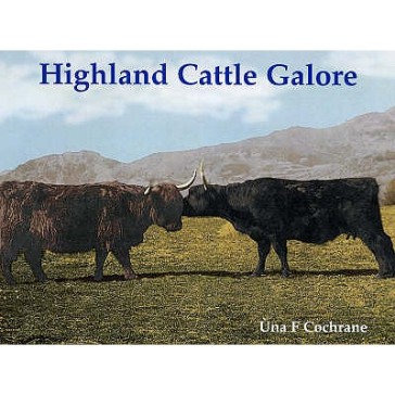 Highland Cattle Galore