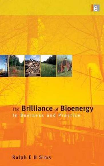 The Brilliance of Bioenergy