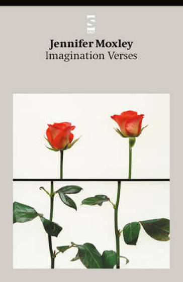 Imagination Verses